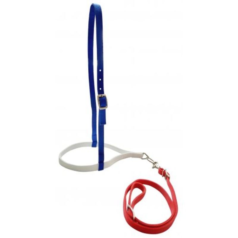 #13242: Showman  Red, White, and Blue nylon noseband and tiedown