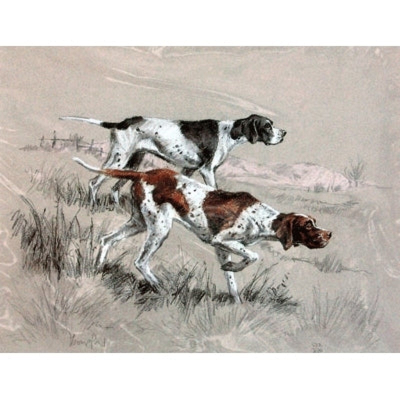 English Pointers By: David Thompson, Matted