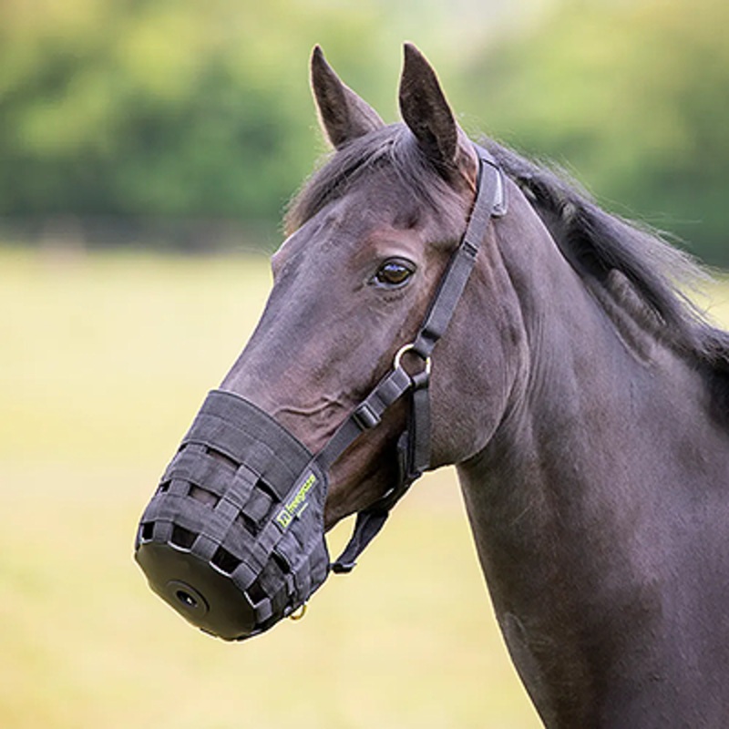 Shires Comfort Grazing Muzzle