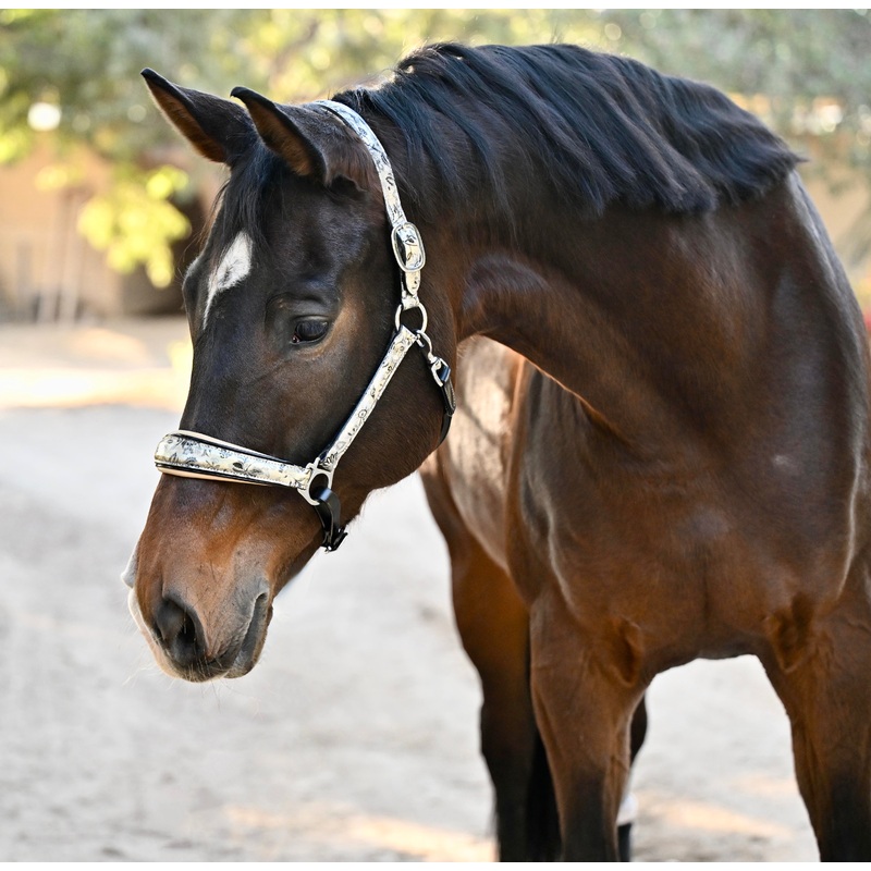 Venetian Leather Halter