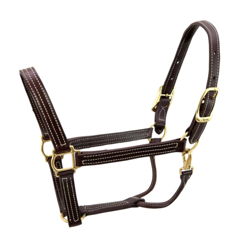 Walsh British Halter with Throat Snap – Havana & Brass