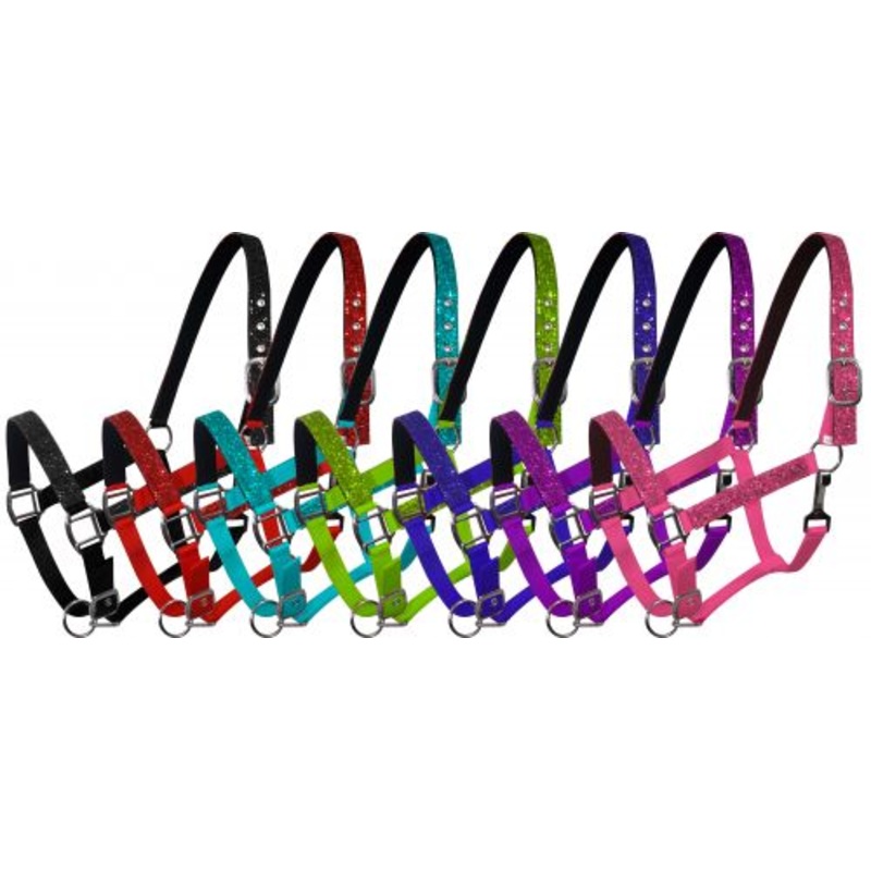 #6552C: Cobb size nylon halter with neoprene lined nose and crown