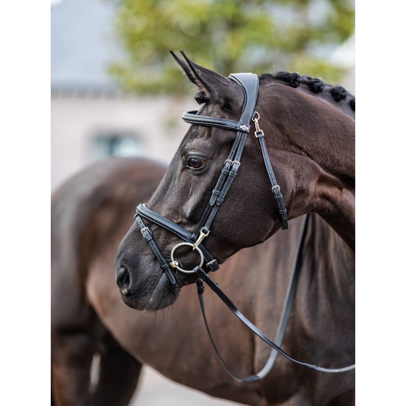 Kudos Work Bridle