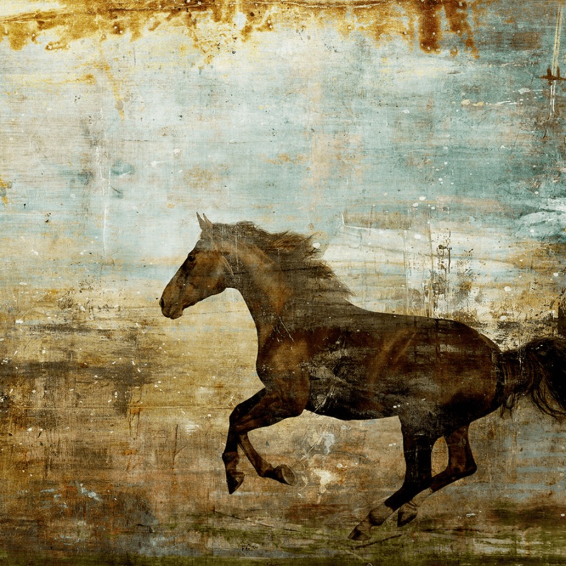 “Prairie II” by Sofia Fox
