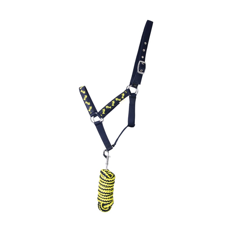 Little Knight Lancelot Head Collar & Lead Rope