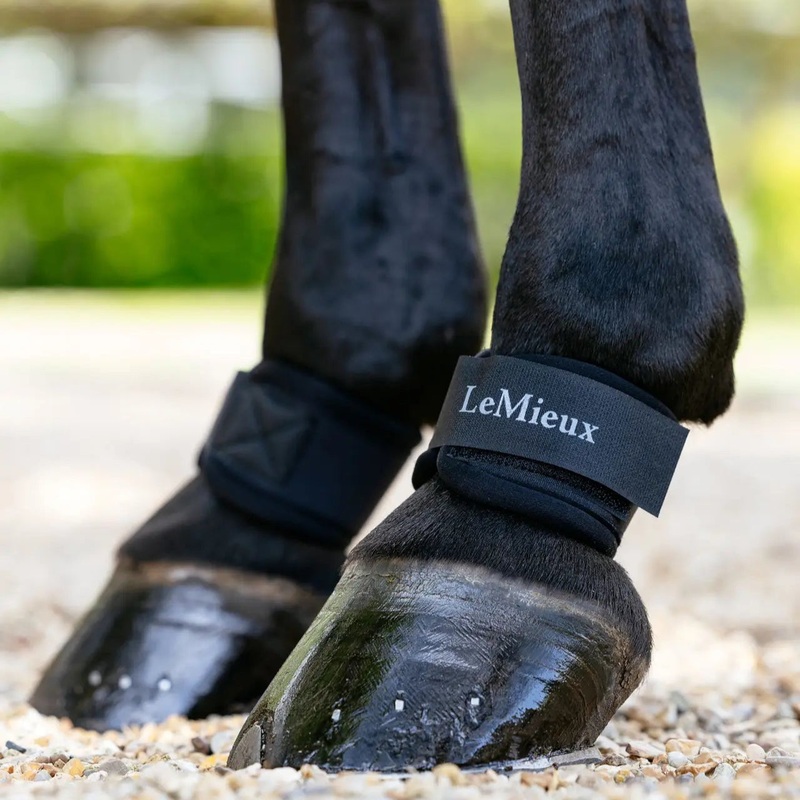 Neoprene Pastern Wrap