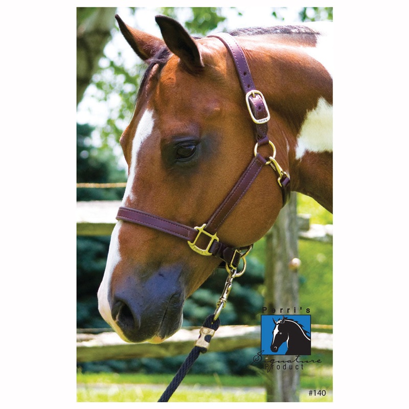 140H Perri’s 1 Inch Horse Turnout Halter – Havana Brown