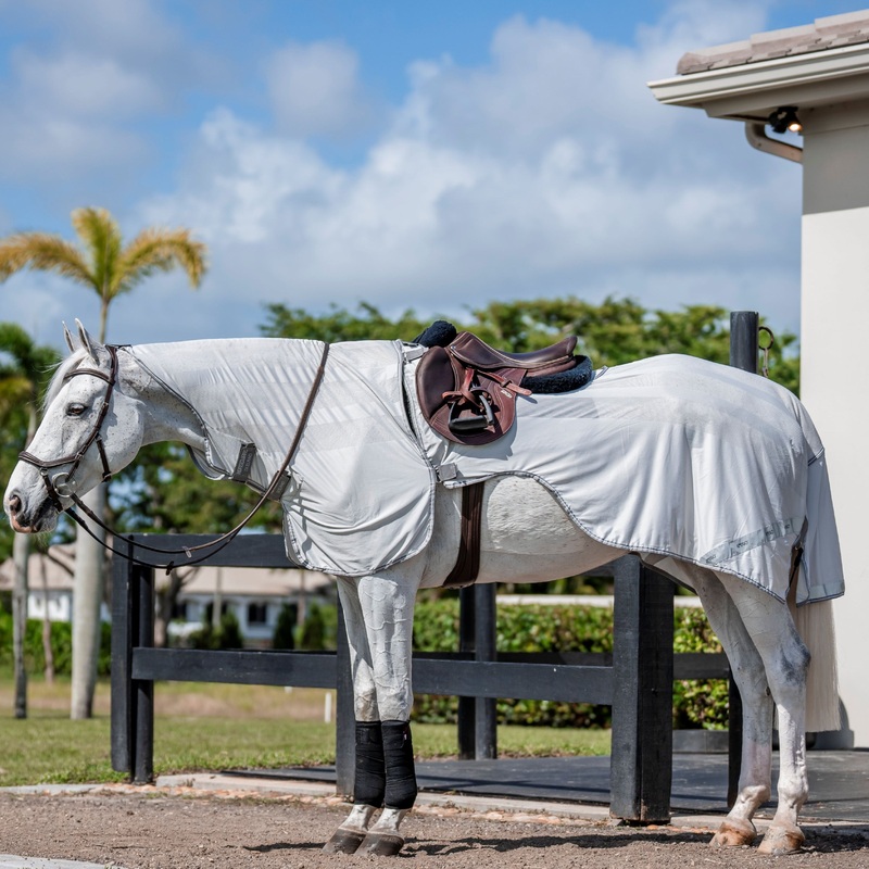Horseware Ireland Amigo Flyrider