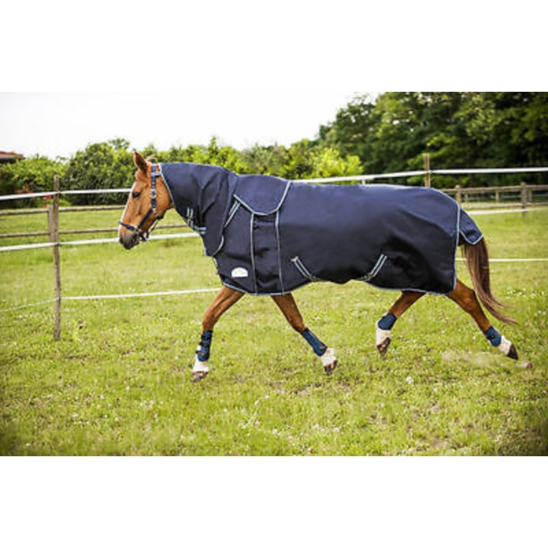 Turnout Rug Heavyweight,Ekkia Equi Theme Tyrex All-In-One 1680D 300g Turnout Rug