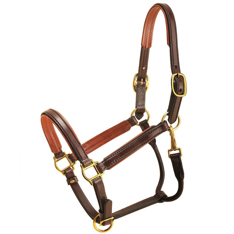 3/4″ Tory Horse Leather Padded Halter Rolled Snap Throat Fixed Havana Oakbark
