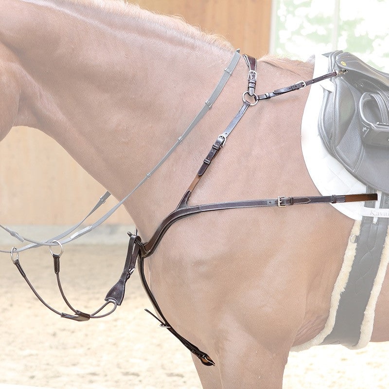 5 Point Anatomic Breastplate “Caya”
