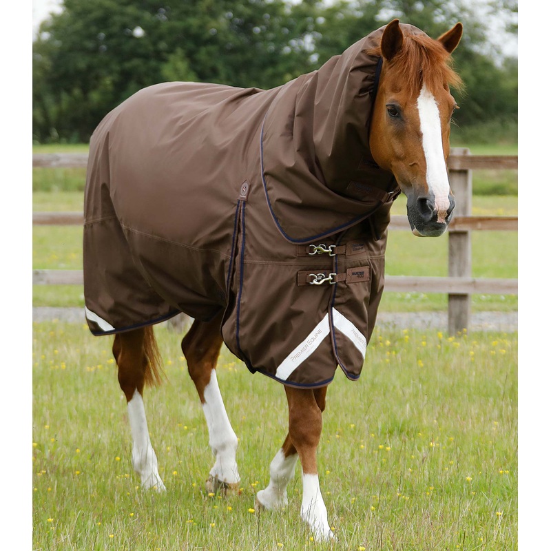 Buster 400g Turnout Rug with Snug-Fit Neck Cover Brown