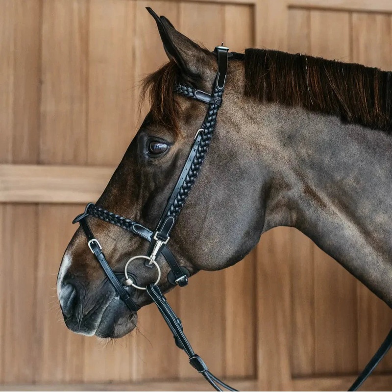 Working Collection Plaited Training Bridle