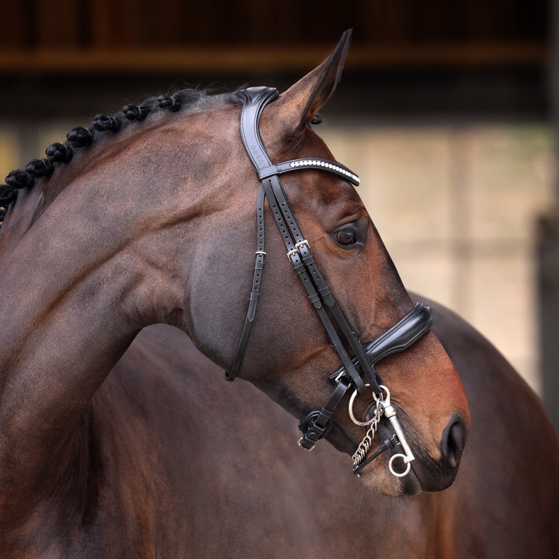 Shires Velociti Lusso Elite Double Bridle