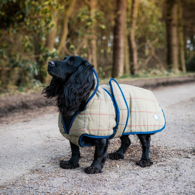 Danish Design Tweed Dog Coat