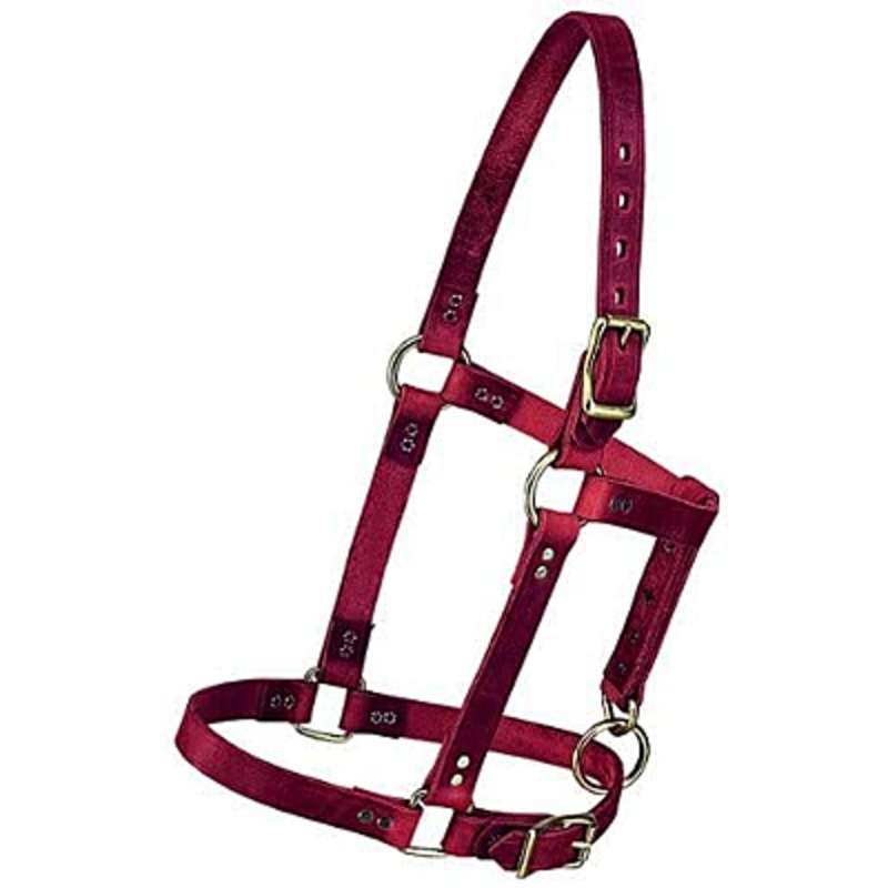 Weaver Leather 5/8″ Riveted Halter, Burgundy