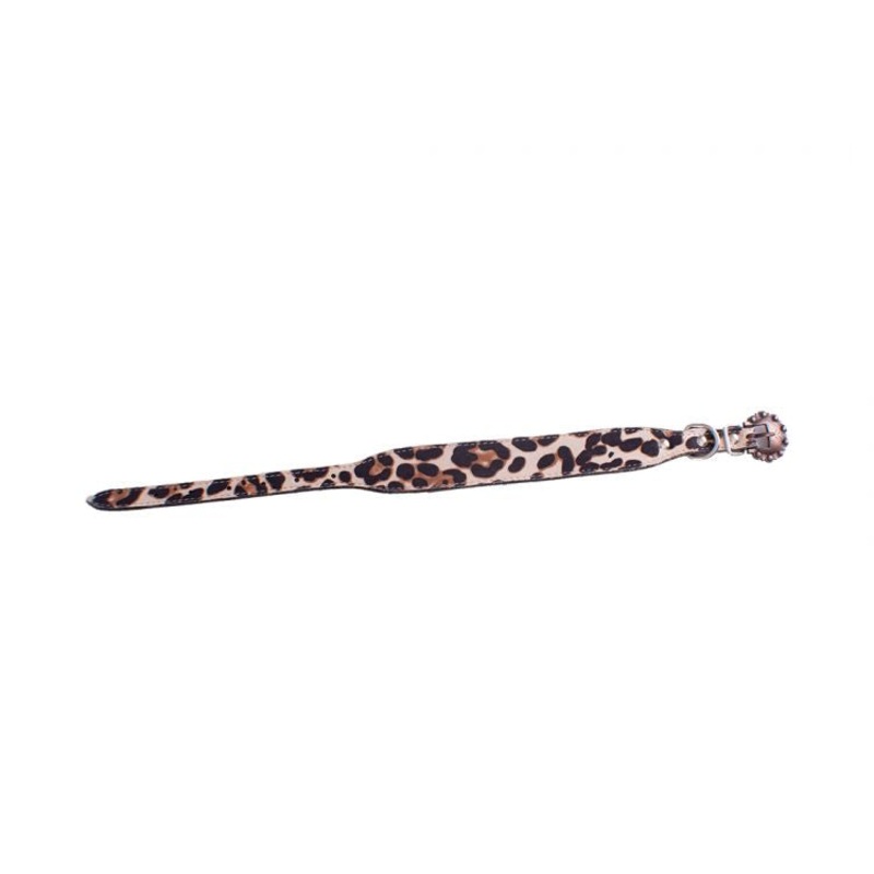 #202430: Showman Couture  Genuine leather dog collar in leopard print
