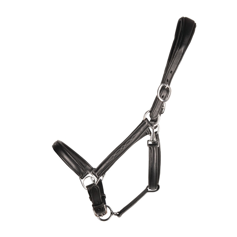 ProPresicce Softy Leather Head Collar by Hy Equestrian