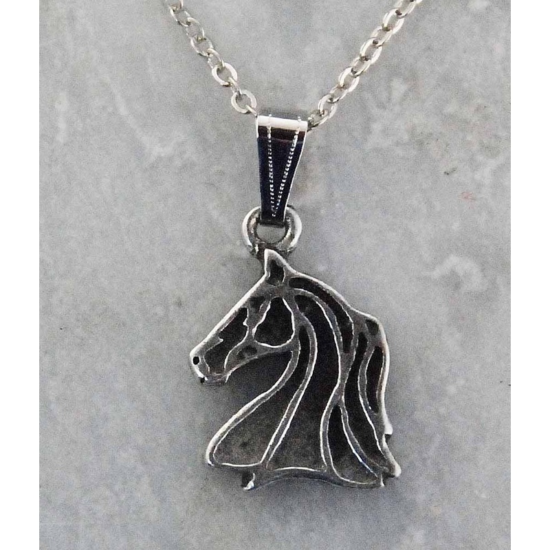 Western Edge Free Form Horeshead Necklace
