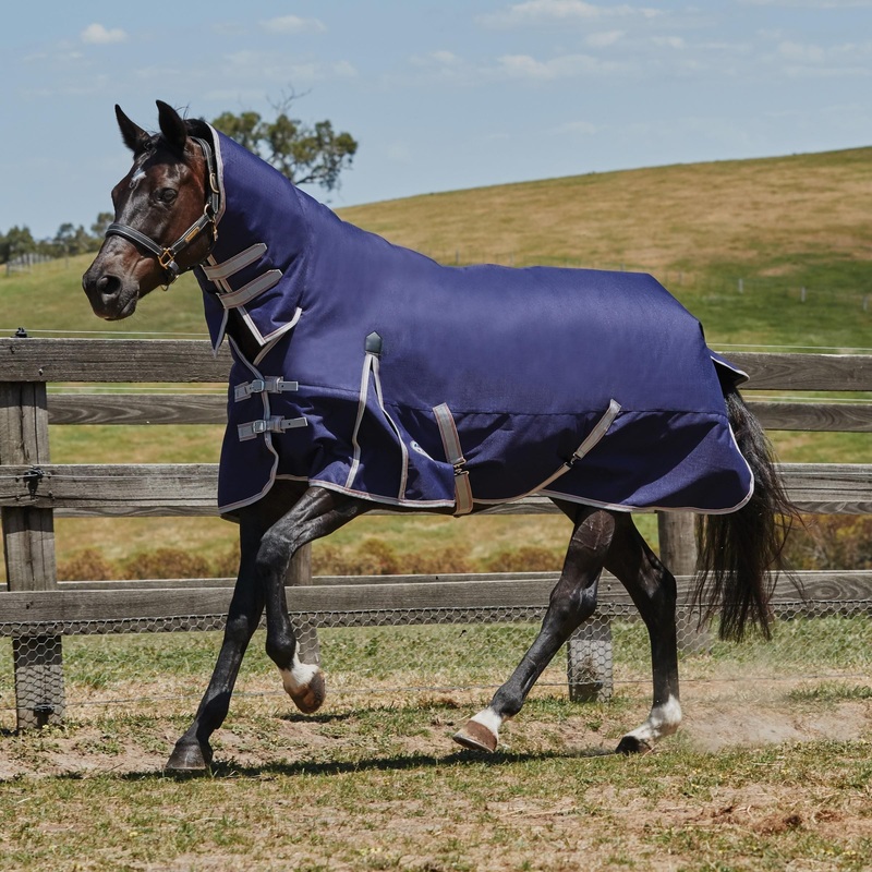 WeatherBeeta ComFiTec Essential Combo Neck Lite Plus Turnout Rug
