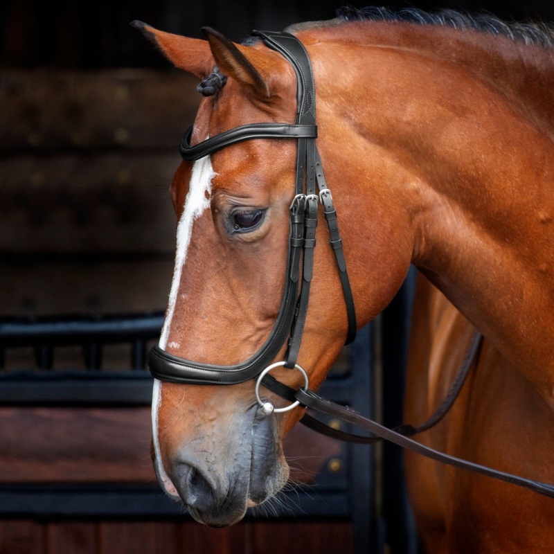 Shires Velociti RAPIDA Ergonomic Curved Cavesson Bridle