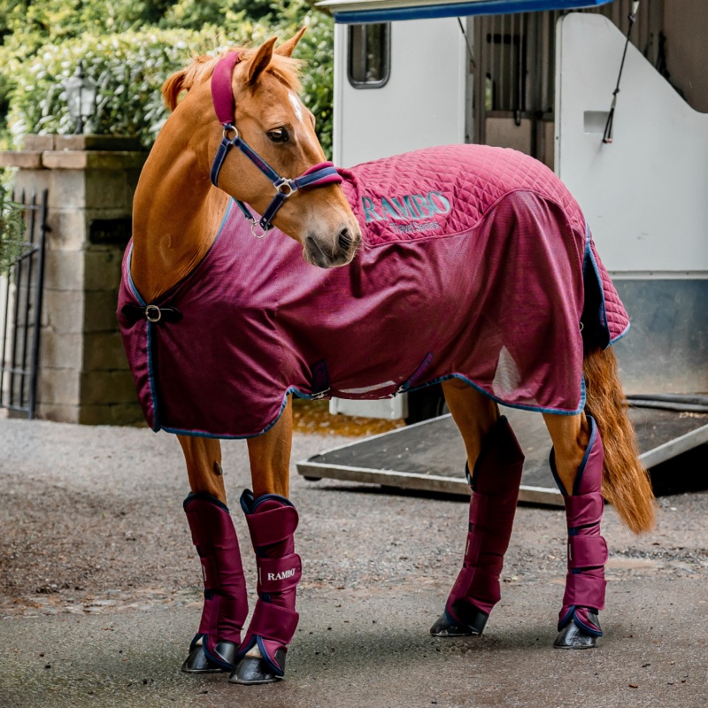 Horseware Ireland Rambo Travel Series
