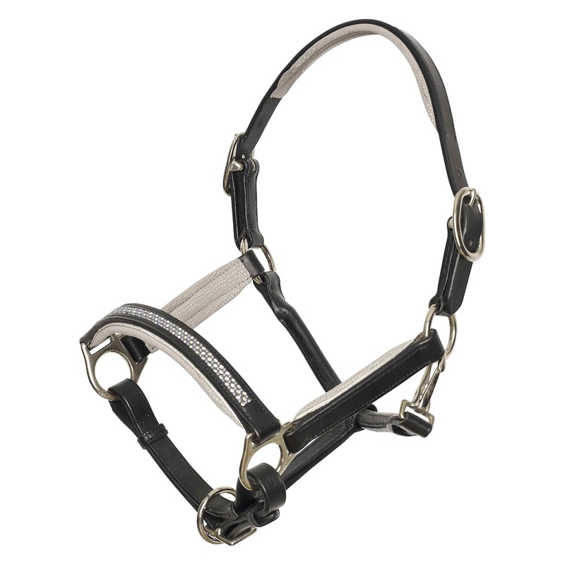 Imperial Riding Rainbow Headcollar