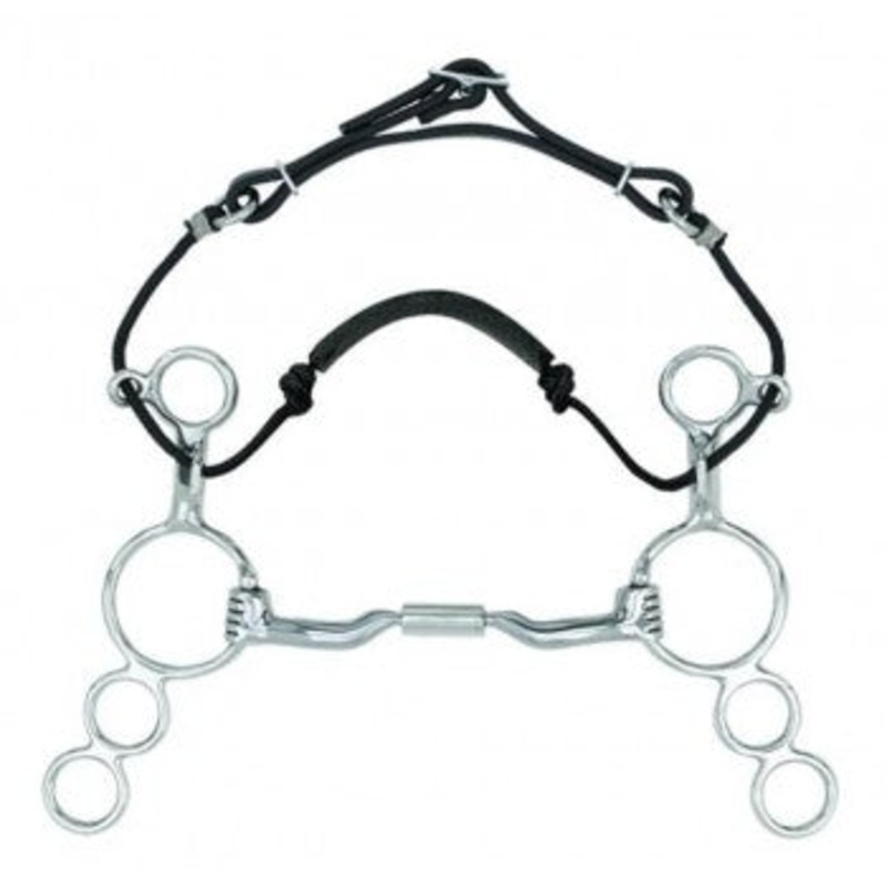 3 Ring Myler Combo – 04