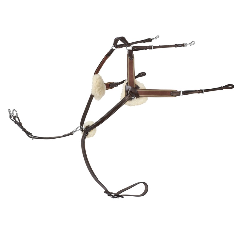 5 Point Breastplate