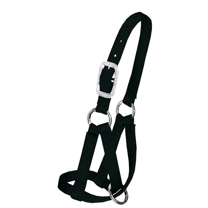 Weaver Leather Llama Halter