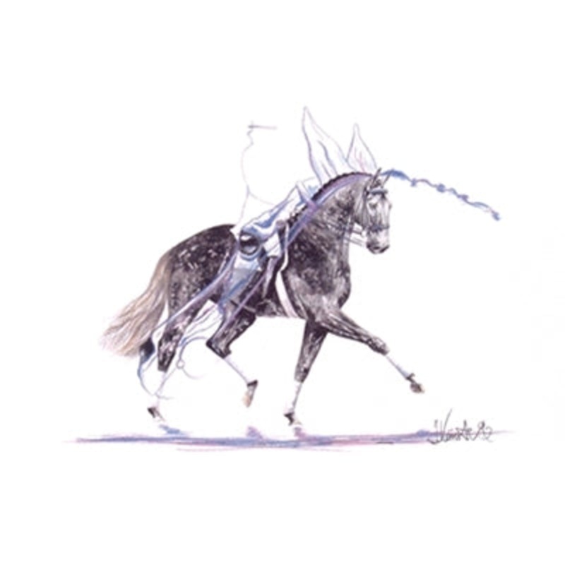 Diadem (Dressage) By: Jan Kunster, Matted