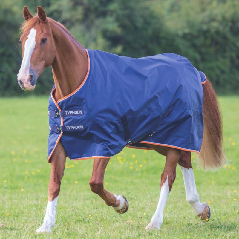 Shires Typhoon 100g Turnout Rug