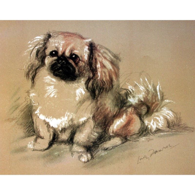 Porter Fine Art Dog Prints – Koko