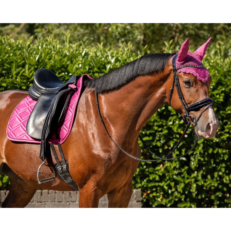 QHP Djune Ear Net