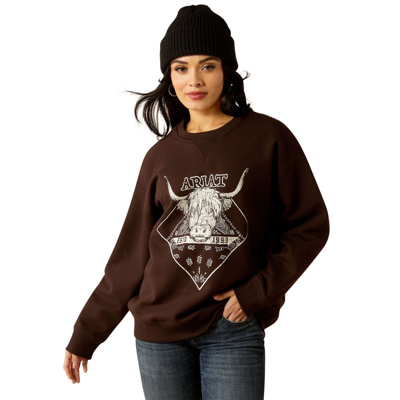 10053960 Ariat Women’s Taurus Oversized Crew Sweatshirt – Mole