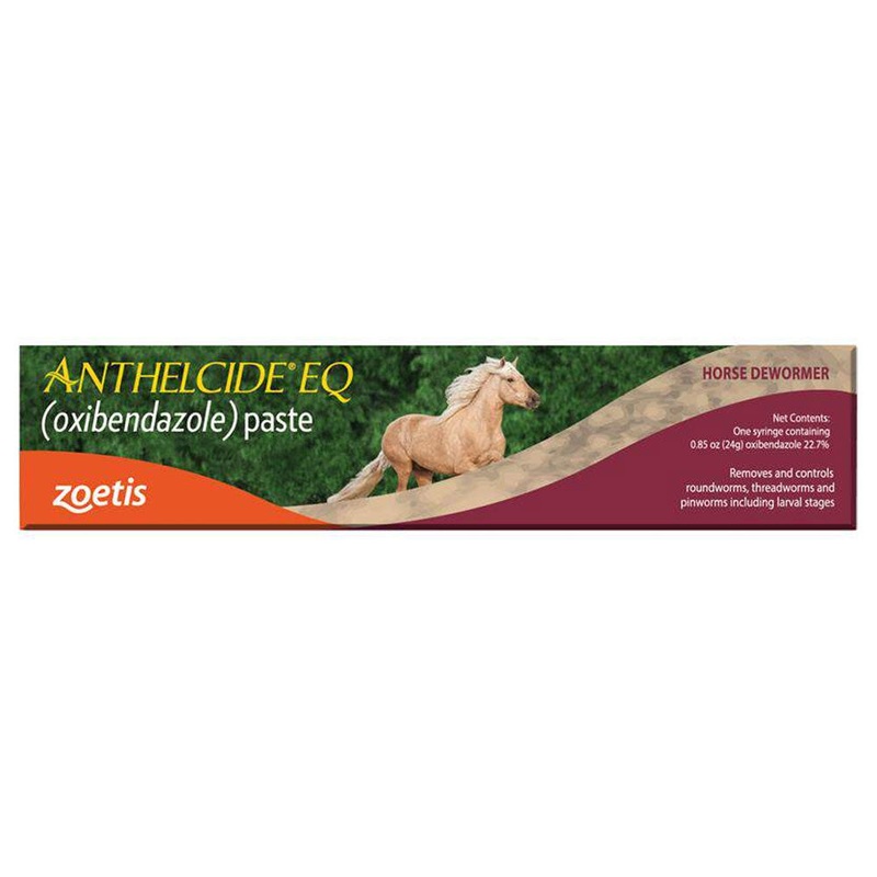 Zoetis Anthelcide EQ Paste – Oxibendazole Horse Dewormer
