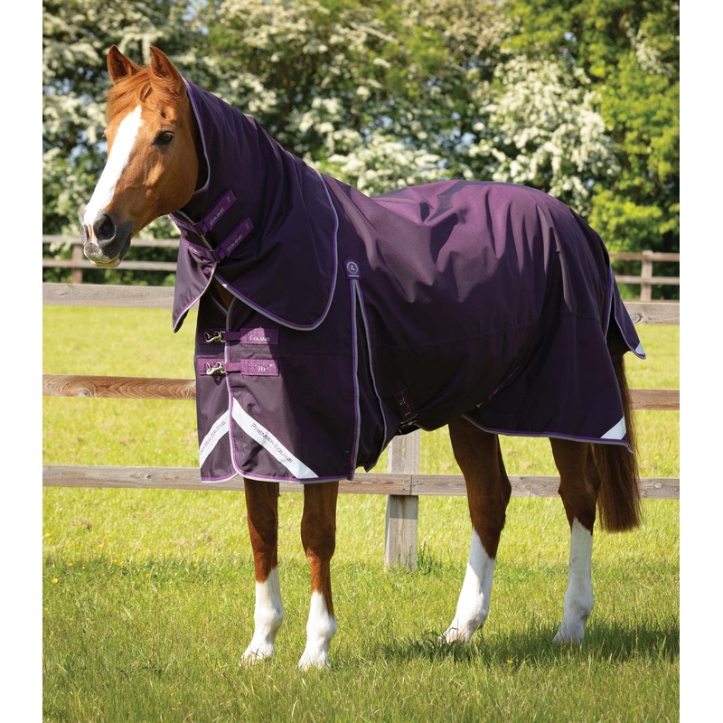 Buster 70g Turnout Rug with Classic Neck Cover Purple