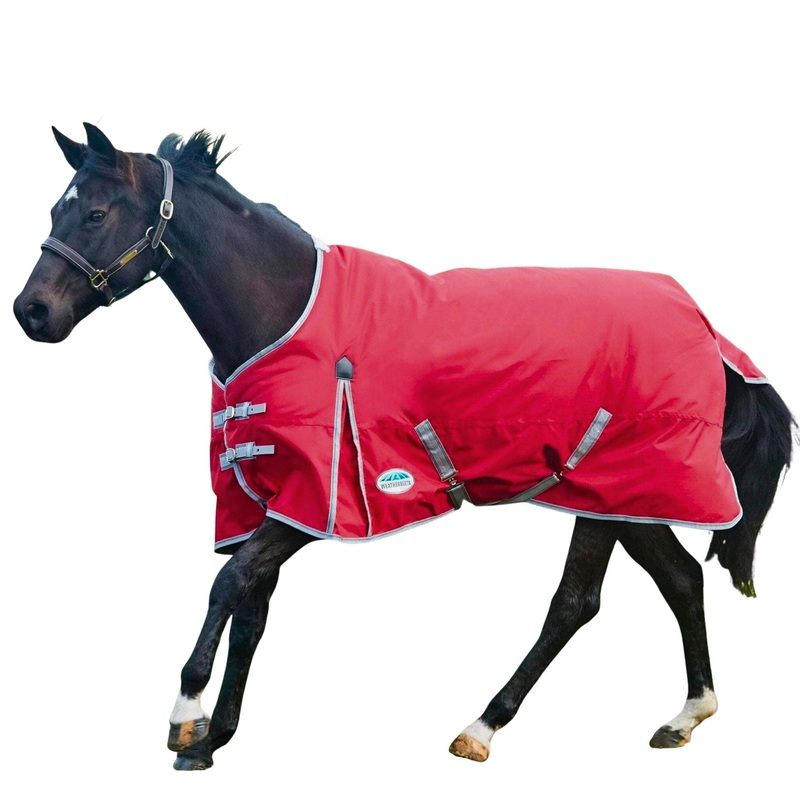 WeatherBeeta Comfitec Classic Standard Neck Medium Turnout Blanket