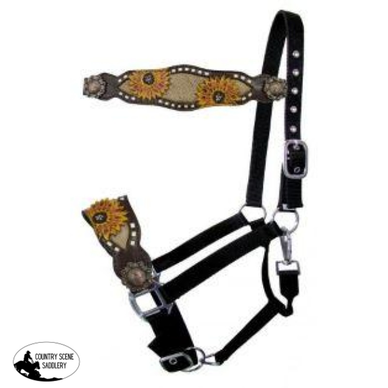 Showman Adjustable black nylon bronc halter