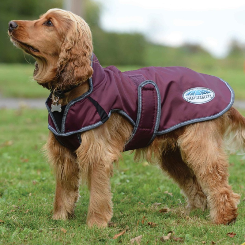 Weatherbeeta Comfitec Windbreaker Free Parka Deluxe Dog Coat