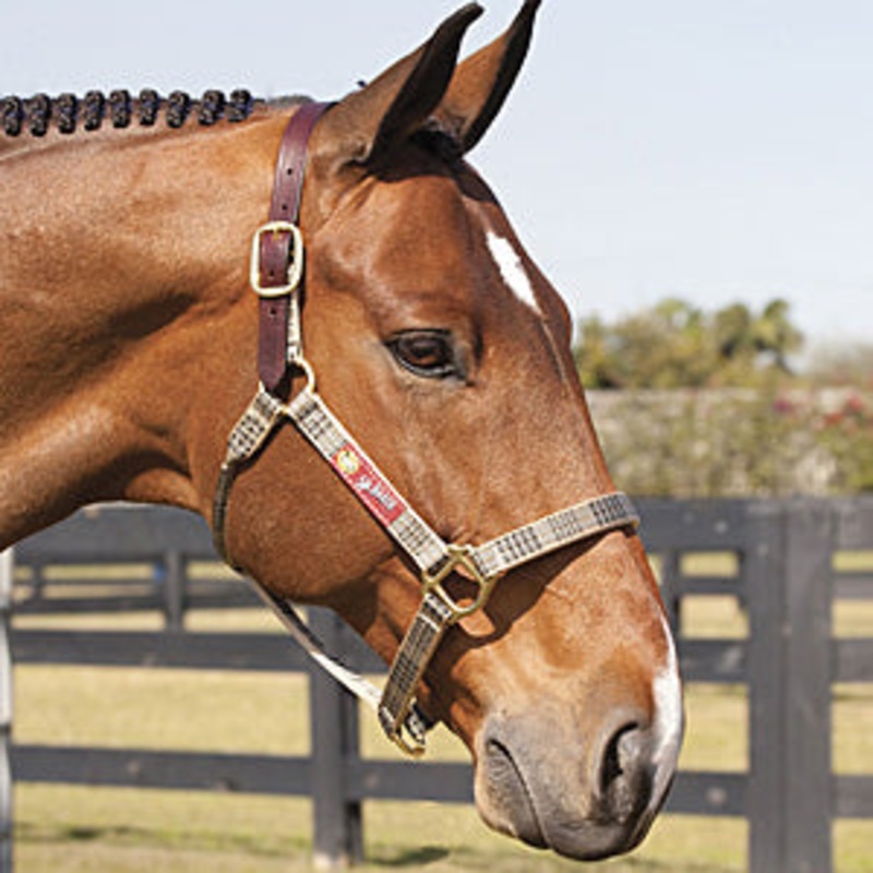 5/A Baker Breakaway Halter