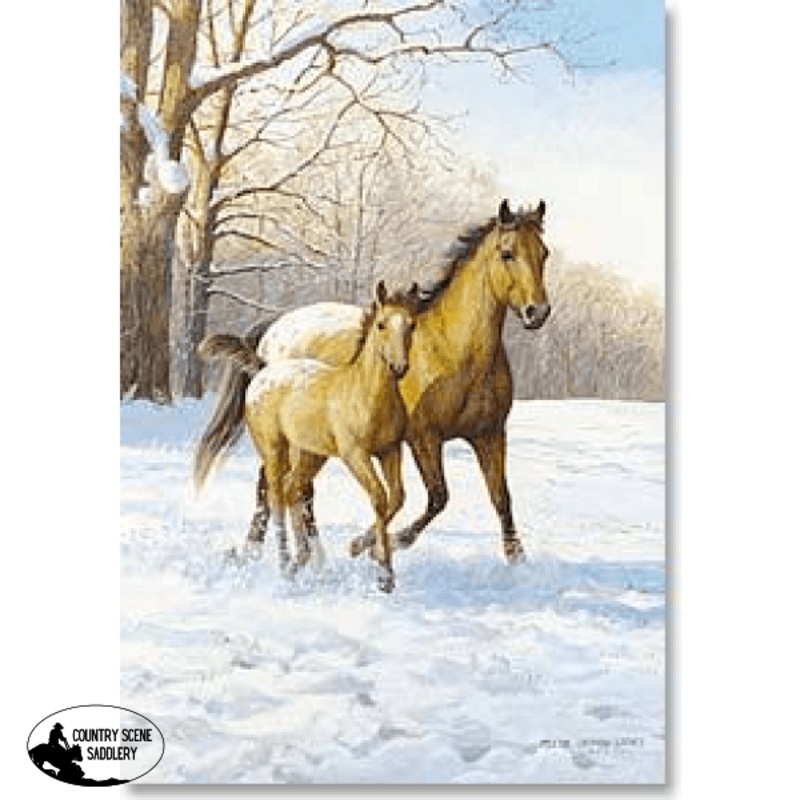 Christmas Card CB- Appaloosa Mare & Foal