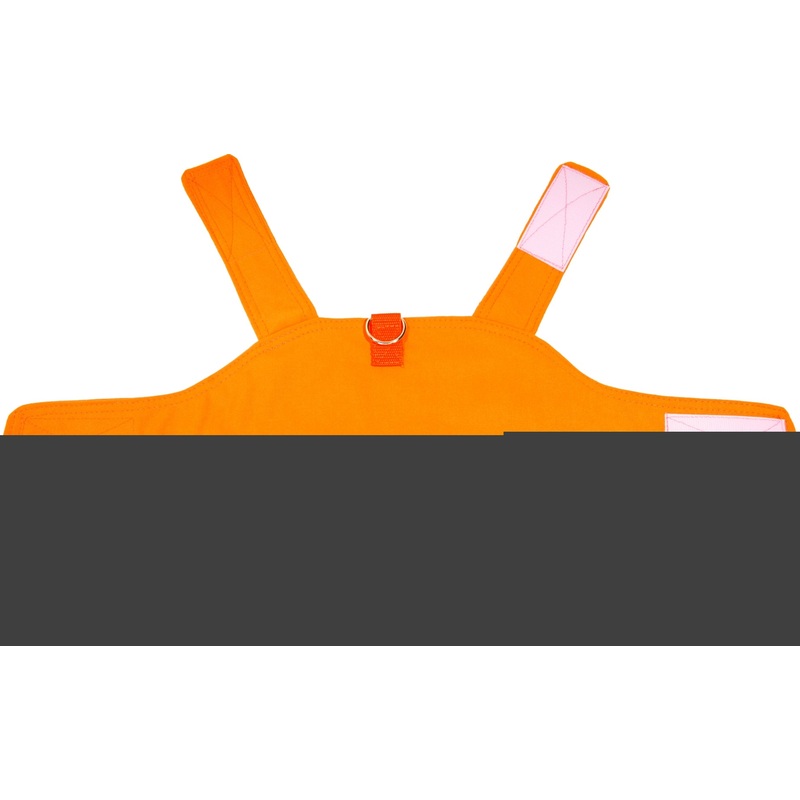 DOG NOT GONE Mini Safety Dog Vest