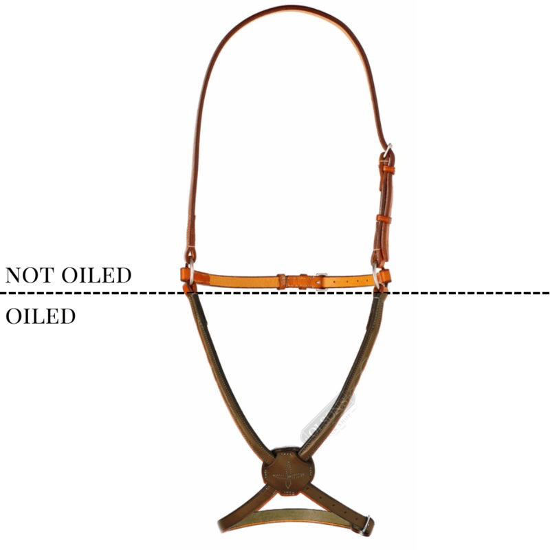 Edgewood Fancy Stitch Raised Figure 8 Noseband