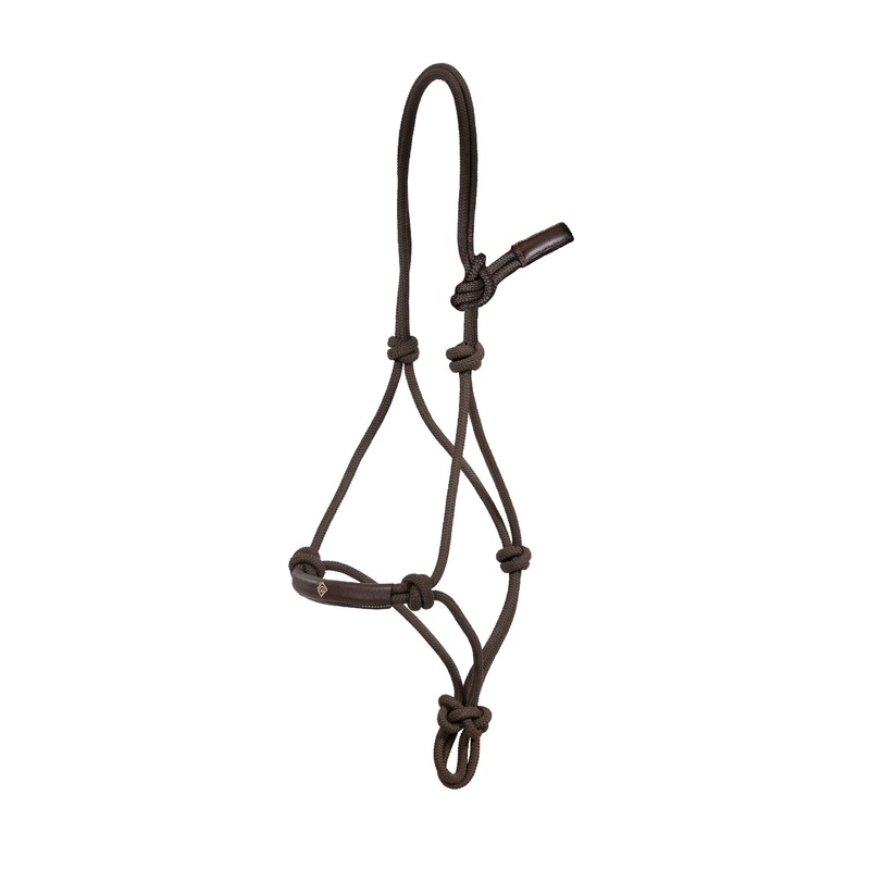 Working by Dy’on Training Halter