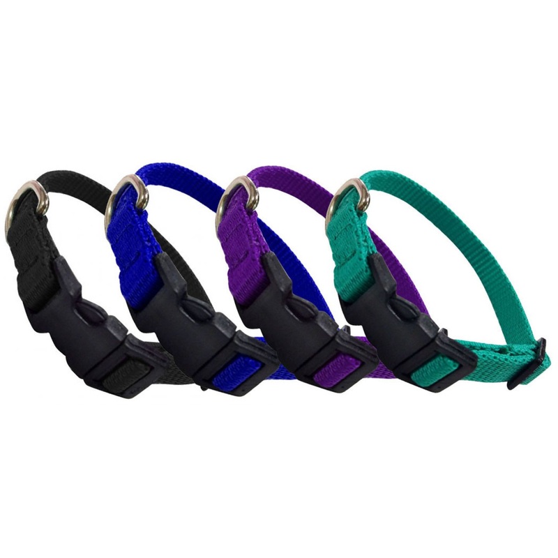 Showman Couture  Extra Small Nylon dog collar