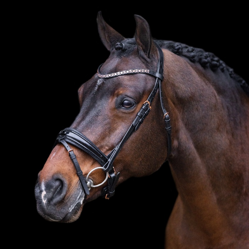 Imperial Riding Olympia Bridle