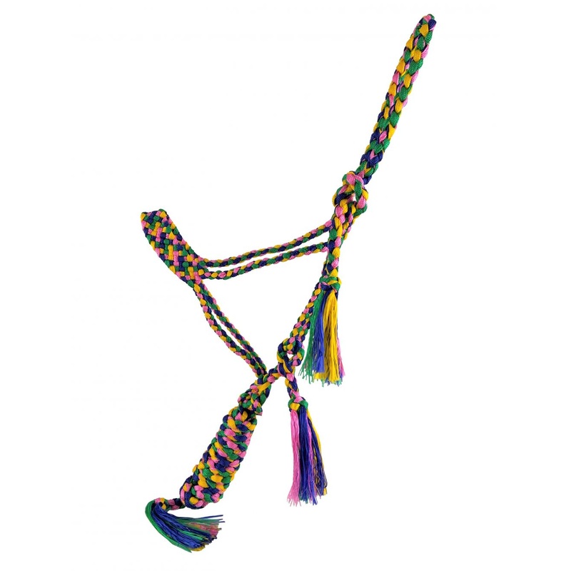Showman Woven Rainbow color nylon mule tape halter with removable lead