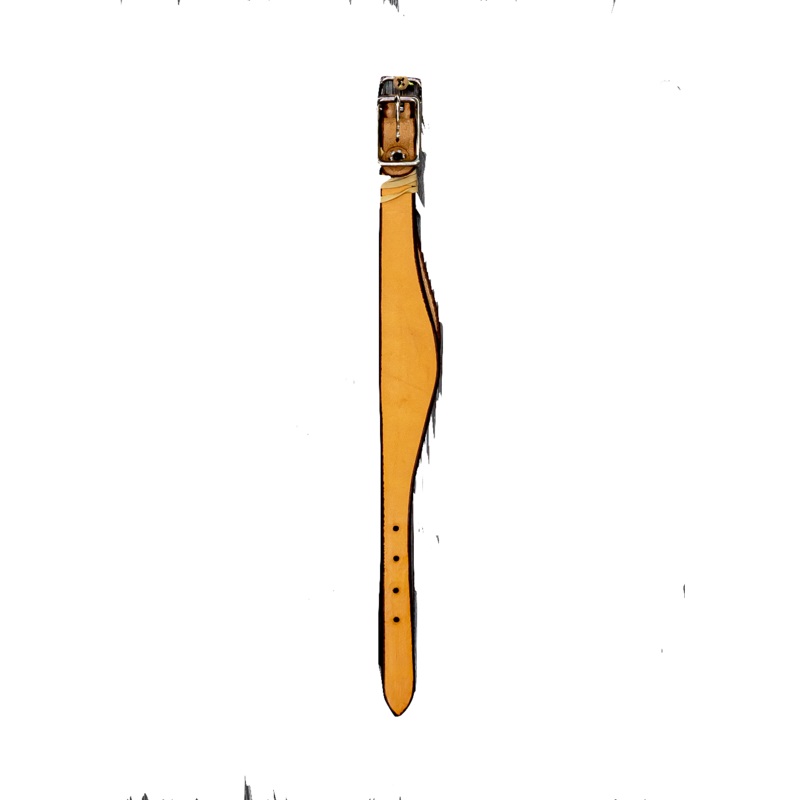 Stirrup Hobbles