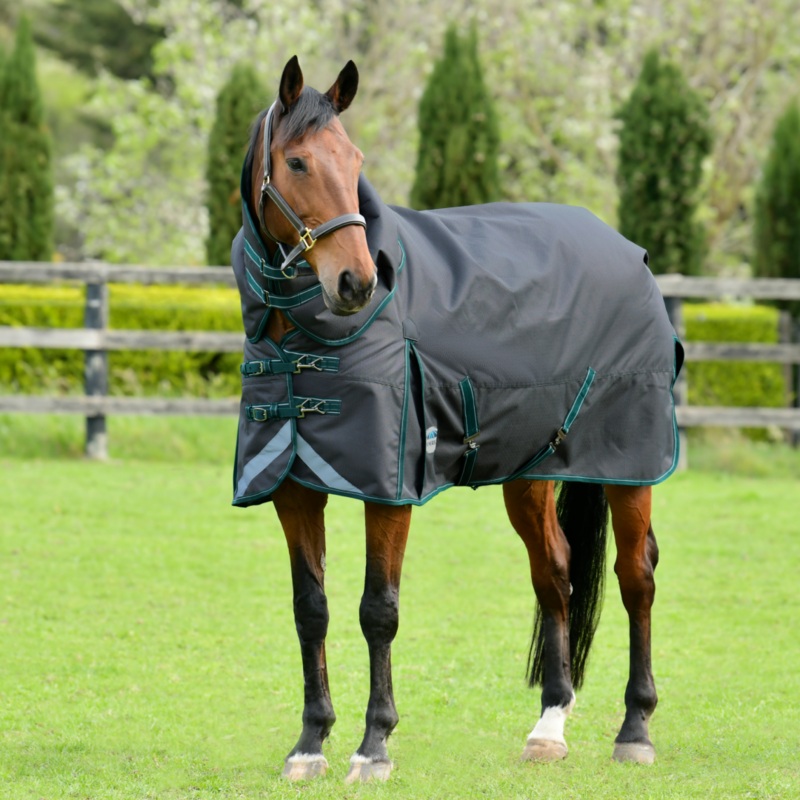 Weatherbeeta Comfitec Plus Dynamic II Detach-A-Neck Medium